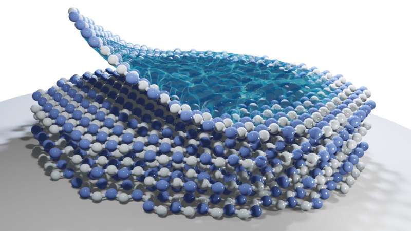 Study uncovers fundamental mechanism underlying formation of polarons in 2D atomic crystals 