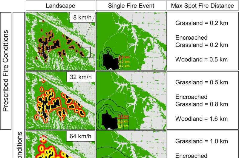 Study: Wildfire spread risk increases where trees, shrubs replace grasses