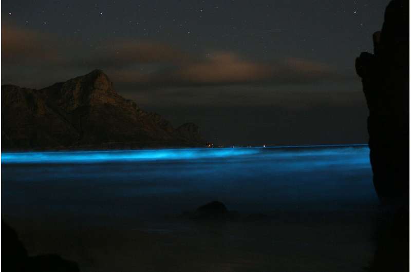 Studying impact of bioluminescent 'blue tears' on water quality around Pingtan Island