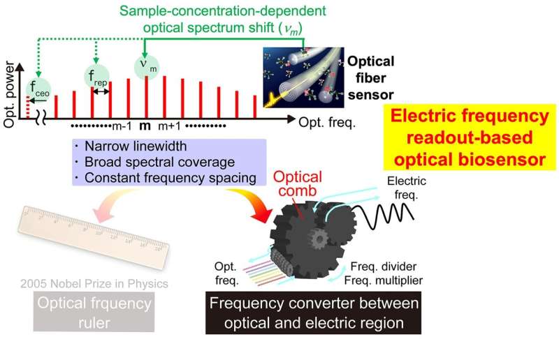 Successful optical biosensing using dual optical combs: High sensitivity and rapid detection of biomolecules with promising prospects