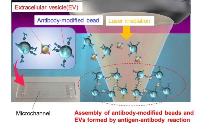 Superefficiënte door laserlicht geïnduceerde detectie van van kankercellen afkomstige nanodeeltjes