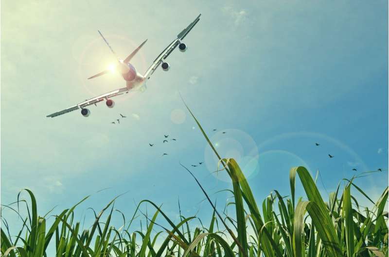 Sustainable energy for aviation: What are our options?