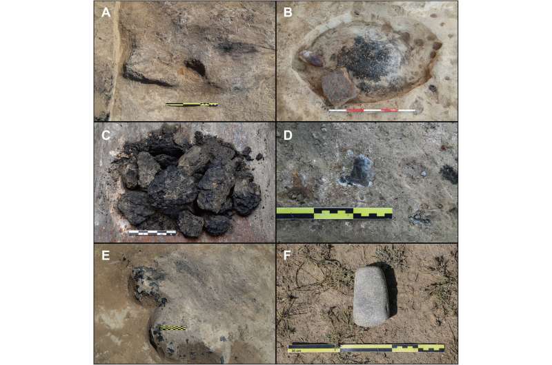 Systematic use of coal as a fuel source found at Bronze Age dig site