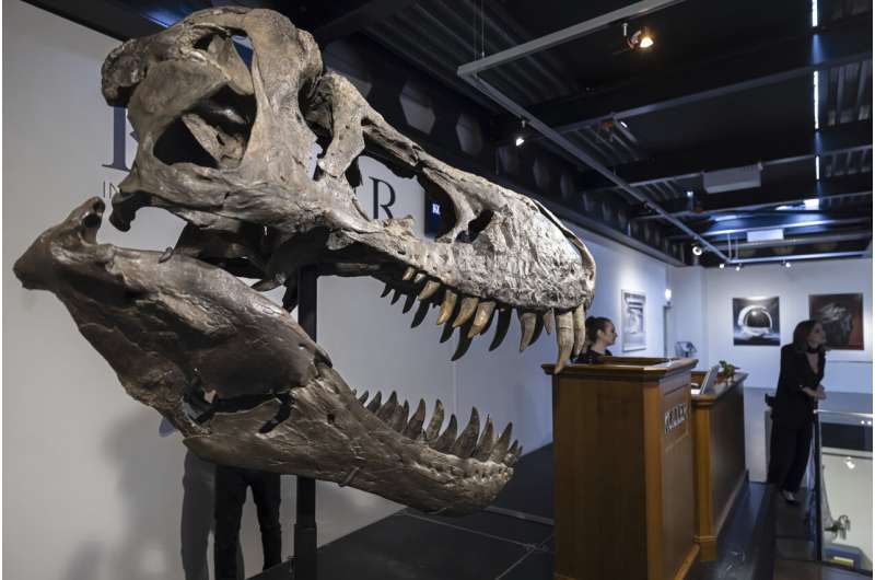 T. rex skeleton sells for more than $5M at Zurich auction