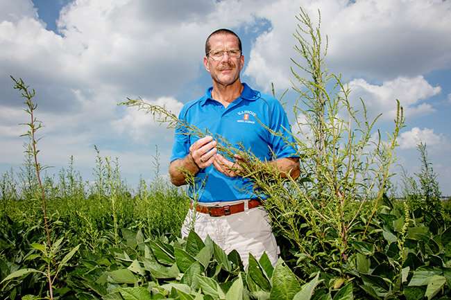 Tank-mixing herbicides may not be enough to avoid herbicide resistance