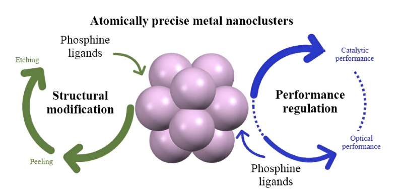 Team reviews phosphine ligand-induced structural transformation of metal nanoclusters