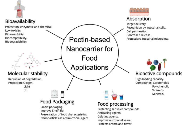 Technology to protect bioactive compounds from food during digestion