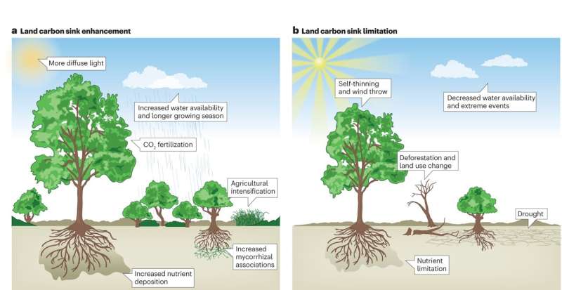 Terrestrial ecosystems significantly offset human carbon emissions