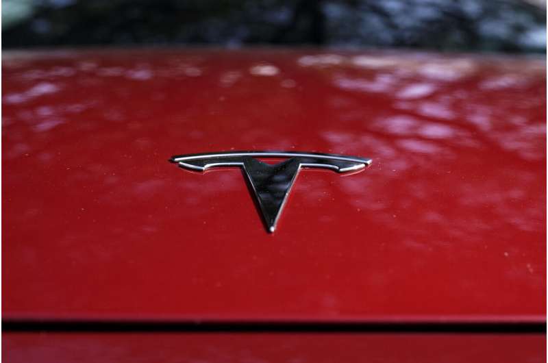 Tesla price cuts: Flagging demand or tactic to boost sales?