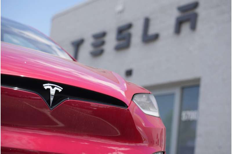 Tesla's Q2 income jumps 20%, although shares stayed flat amid concerns about profits
