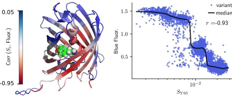 Testing the limits of AlphaFold2’s accuracy in predicting protein structure