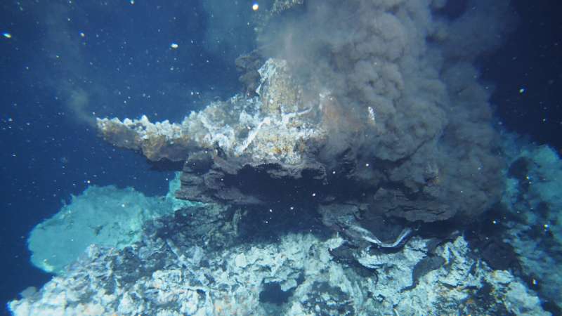 Testing their mettle: How bacteria in deep-sea vents deal with toxic metal environments