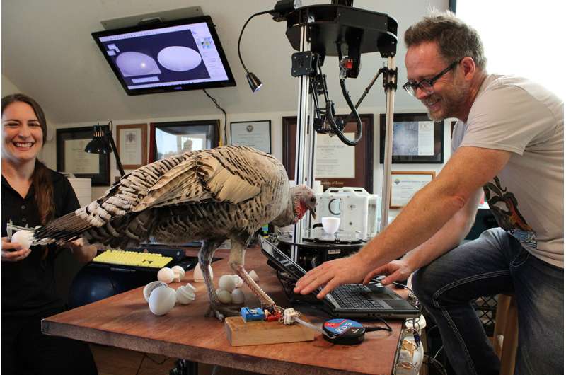 Texas A&amp;M researcher hatches new technology to save endangered birds