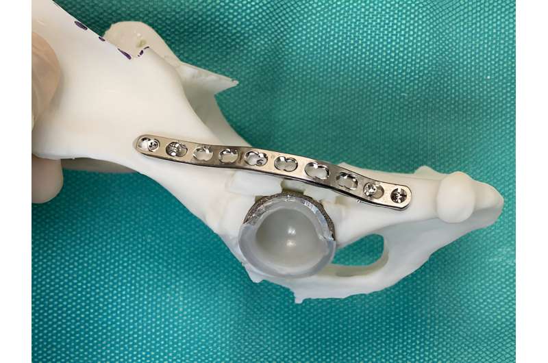 Texas A&amp;M veterinarians use 3D printing technology to assist in double hip replacement surgery