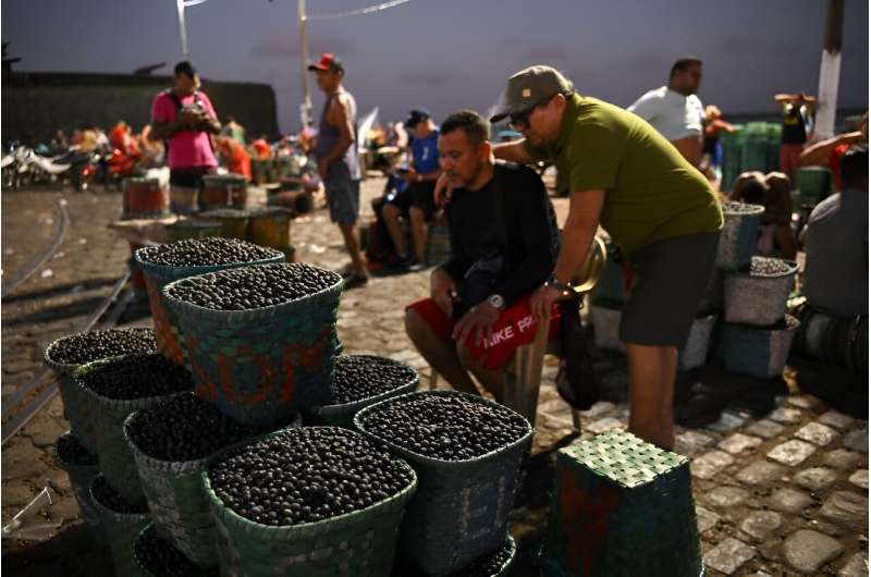 The Acai Market on the shores of the Guajara Bay in Belem, Para state, Brazil