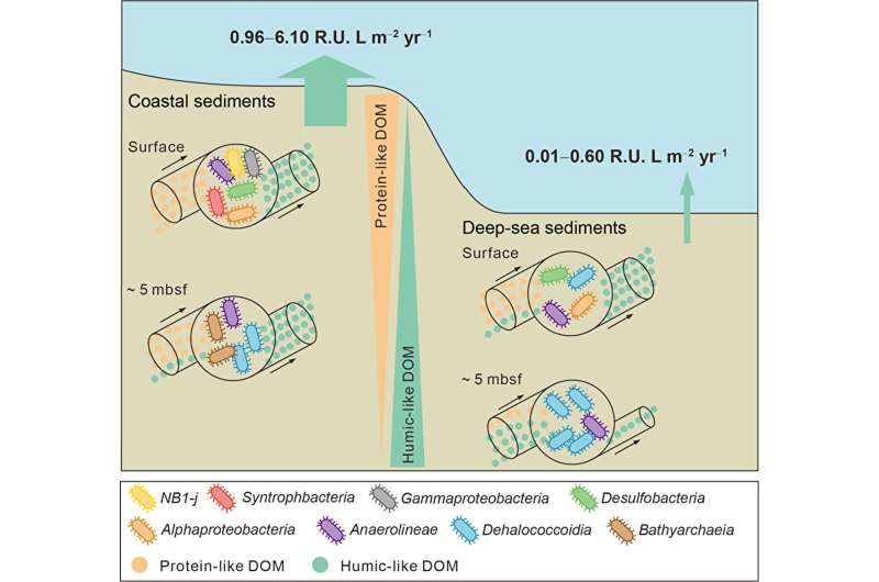 The bio-reactivity of refractory humic-like dissolved organic matter increases in energy-limiting deep-sea sediments