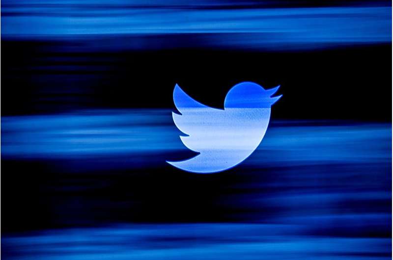 'The brand became the verb.'  Why the blue Twitter bird worked—until it didn't