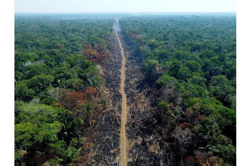 The Brazilian Amazon recorded its worst February for deforestation in 2023