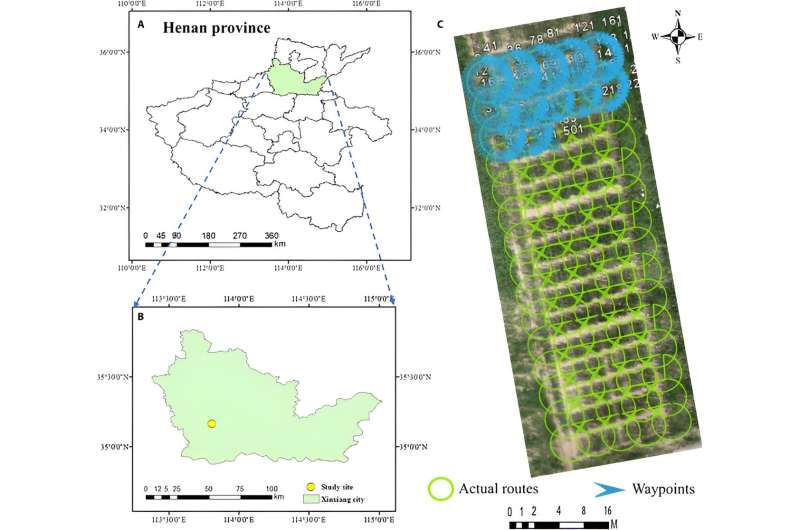 The crucial role of realistic 3D canopy models in light interception analysis for crop resilience and sustainability