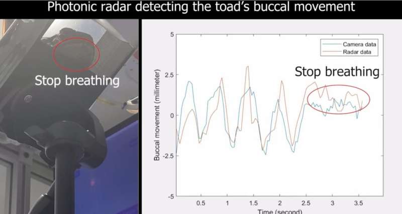The device that can remotely and accurately monitor breathing: as tested on cane toads