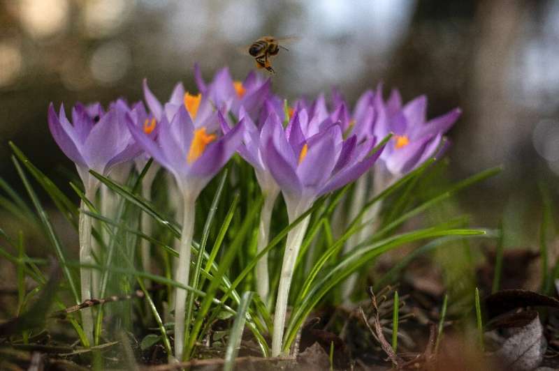 The EU estimates that pollinators contribute around five billion euros ($5.5 billion) a year to the bloc's food production