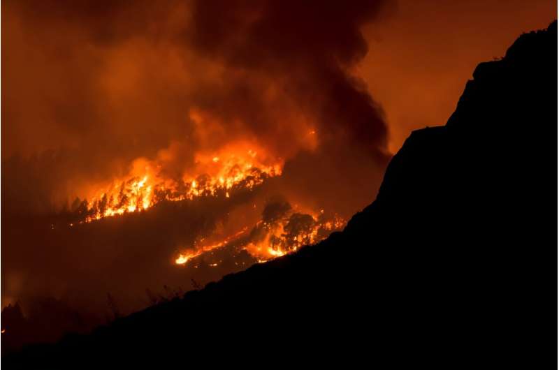 The fire broke out on Tuesday night several days after an intense heatwave hit Spain's Canary Islands