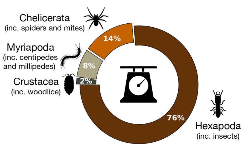 The first global estimate of the combined weight of all land insects and related arthropods