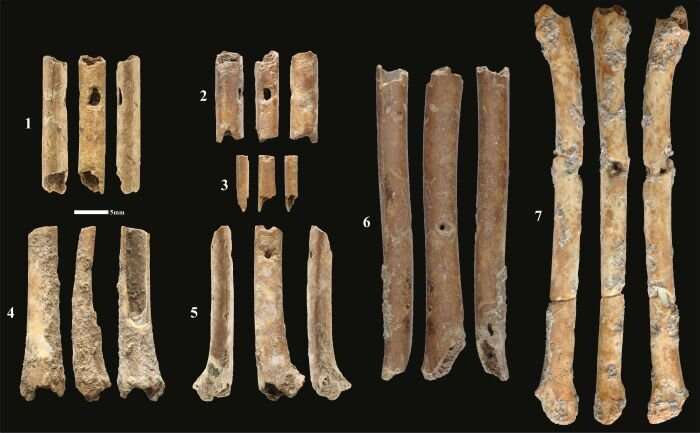 Researchers discover 12,000-year-old flutes made from bird bones