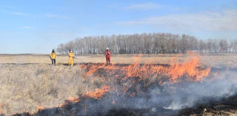 The 'good fire': Prescribed burning can prevent catastrophic wildfires in the future