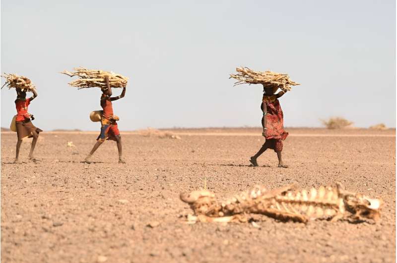 The Horn of Africa has been hit by the worst drought in four decades