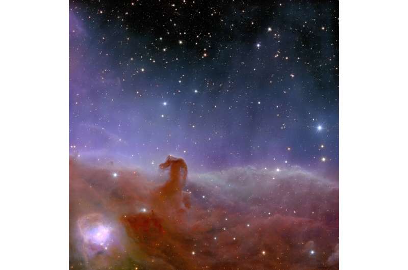 The Horsehead Nebula, in which aim to find previously unseen Jupiter-sized planets, as well as stars still in their infancy