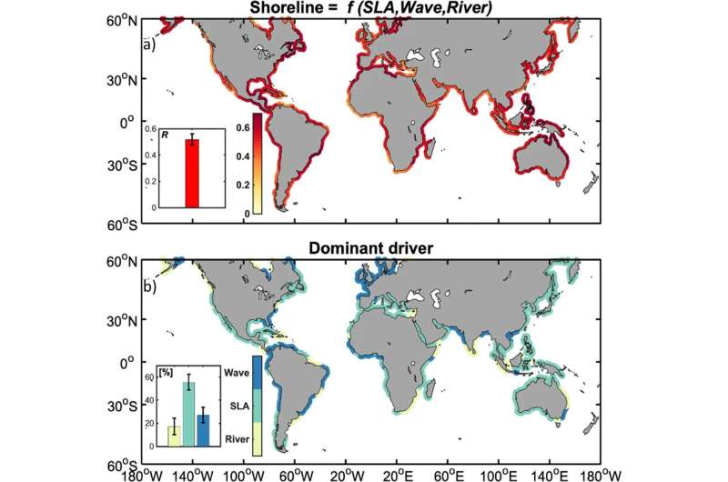 The impact of El Niño on the variability of the global shoreline position 