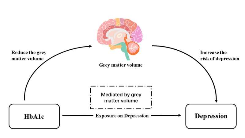 The impact of glycemia on depression risk: insights into the role of brain gray matter volume