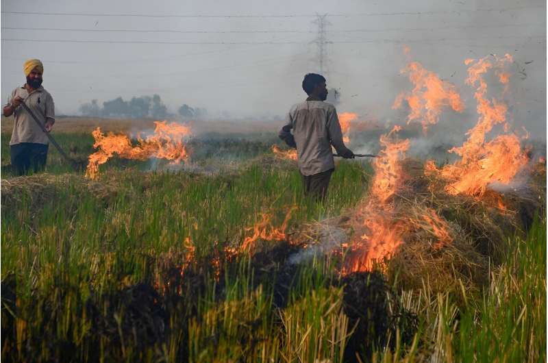 The key problem remains out of the Green War Room's hands -- the huge fires lit by farmers outside of Delhi to clear rice fields after harvests