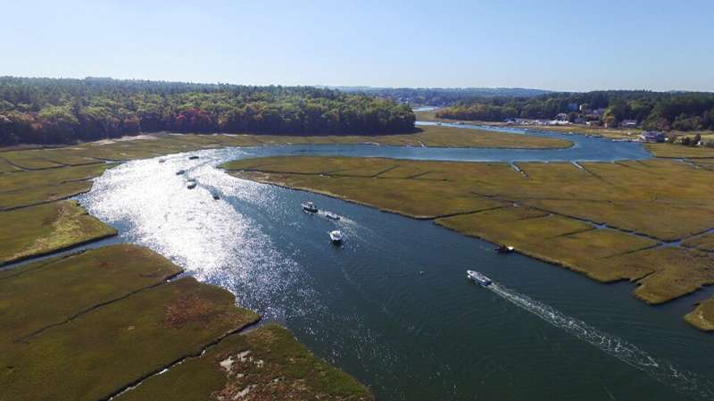 The Key to Weathering Rapid Sea-level Rise May Lie in a Massachusetts Salt Marsh