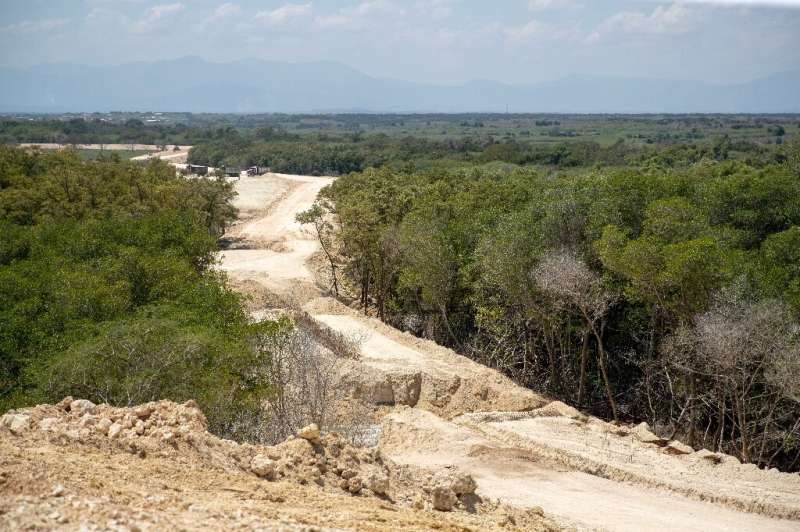 The mangrove is cut in two by the wall that the Dominican Republic is building on the border with Haiti