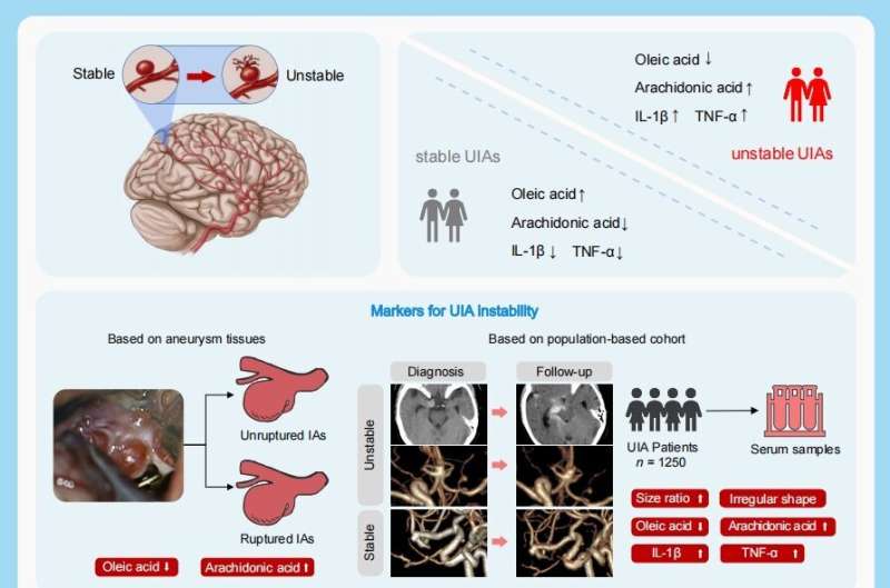 The markers and risk stratification model of intracranial aneurysm instability in a large Chinese cohort