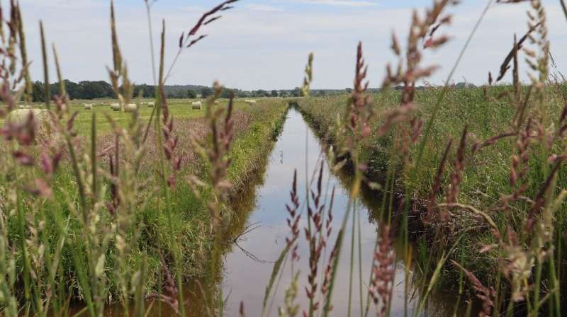 The marshes dried up over centuries as its peat was harvested and the soil cultivated for grain or keeping livestock