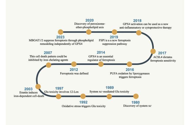 The mechanism of ferroptosis and its related diseases
