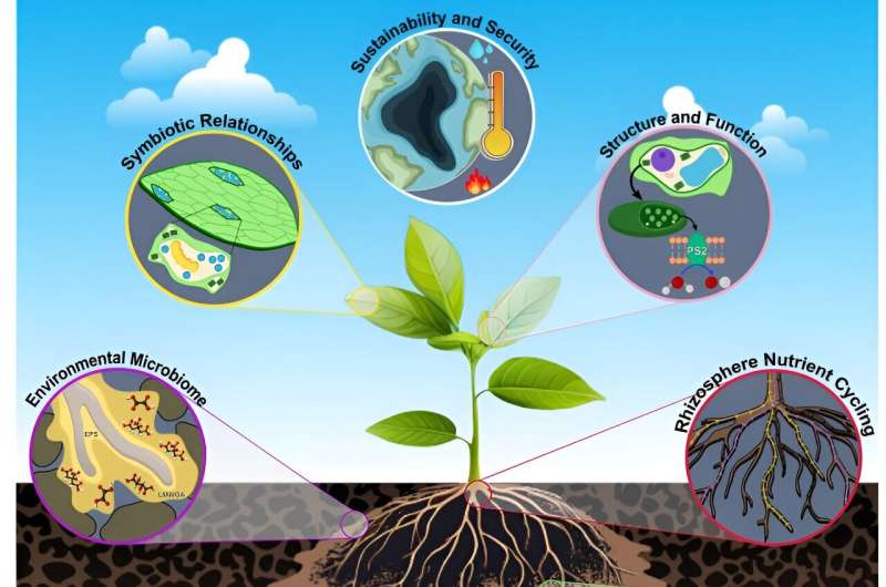 The molecular recipe for building climate change-resistant plants