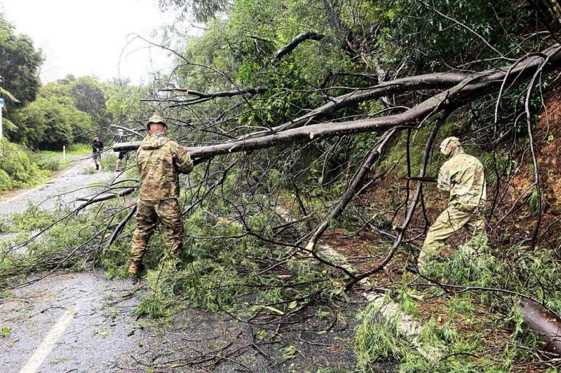 The New Zealand Defence Force clear fallen trees near Matarangi, in the Coromandel area of the North Island