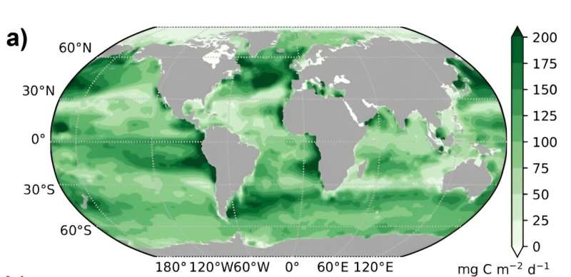 The ocean may be storing more carbon than estimated in earlier studies