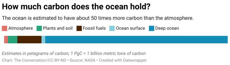 The ocean twilight zone could eventually store vast amounts of carbon captured from the atmosphere