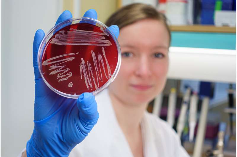 The perils of bacteria's secret weapons