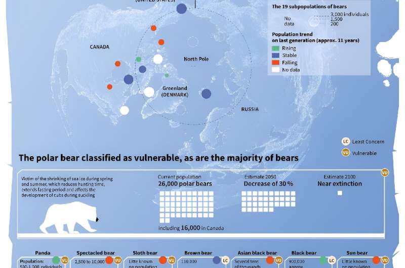 The polar bear population