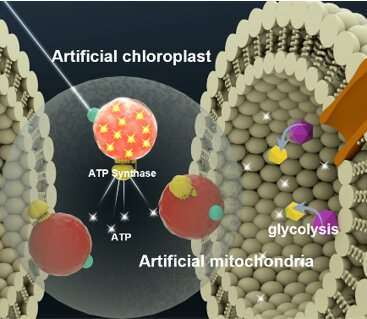 The powerhouse of the future: Artificial cells