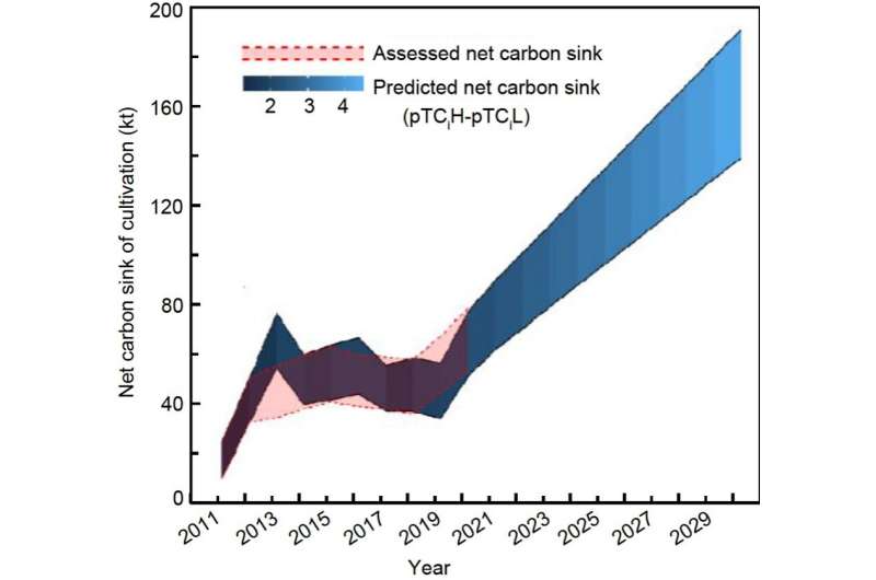 The predicted average annual net carbon sink of Gracilaria cultivation in China from 2021 to 2030 may double that of the last te