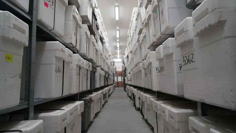 The repository is one of the biggest in the world, with 40,000 blocks of ice stacked on long rows of shelves in large boxes