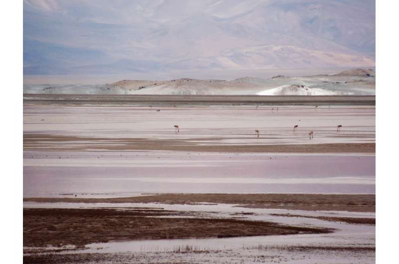 The science behind the life and times of the Earth's salt flats