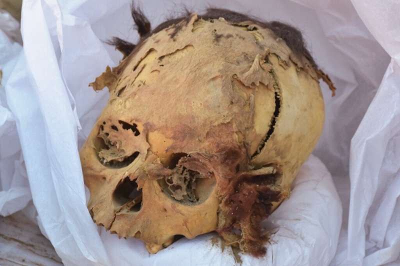 The skull of the teenage mummy discovered in Peru. The child was likely a member of the Ichma community that lived in the area s